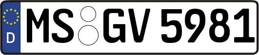 MS-GV5981