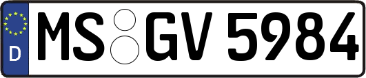 MS-GV5984