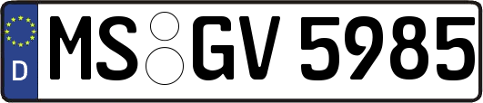 MS-GV5985