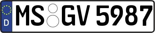 MS-GV5987