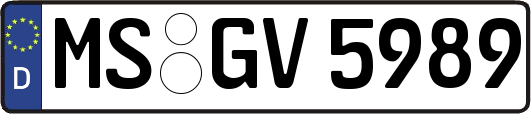 MS-GV5989