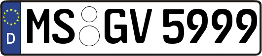 MS-GV5999