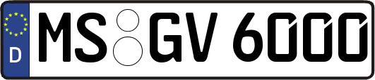 MS-GV6000