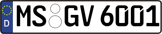 MS-GV6001
