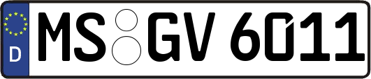 MS-GV6011