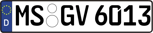 MS-GV6013