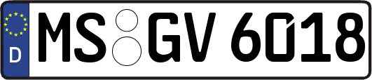 MS-GV6018
