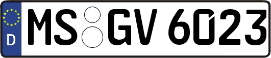 MS-GV6023