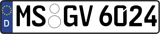 MS-GV6024