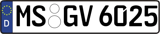 MS-GV6025