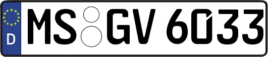 MS-GV6033