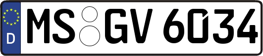 MS-GV6034