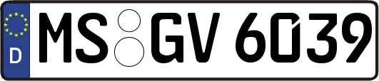 MS-GV6039