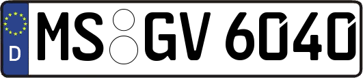 MS-GV6040