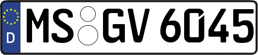 MS-GV6045