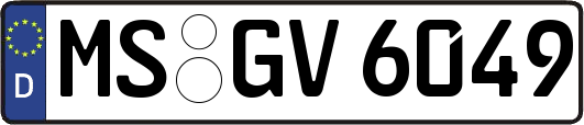 MS-GV6049