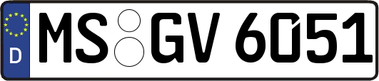MS-GV6051