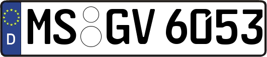 MS-GV6053