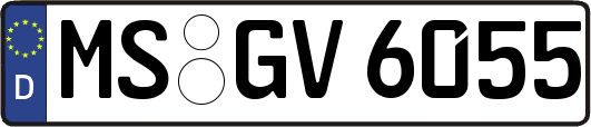 MS-GV6055