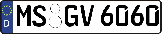 MS-GV6060