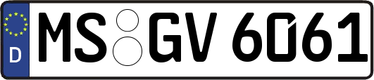 MS-GV6061