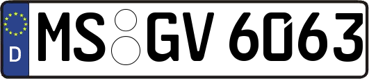 MS-GV6063