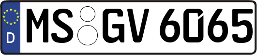 MS-GV6065