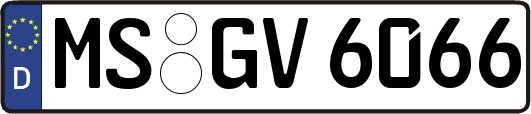 MS-GV6066