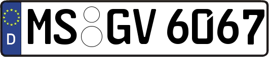 MS-GV6067