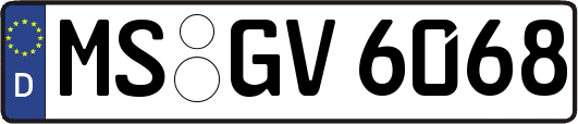 MS-GV6068