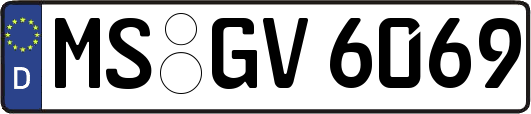 MS-GV6069
