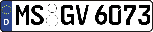 MS-GV6073