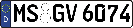 MS-GV6074