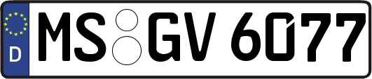 MS-GV6077
