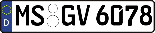 MS-GV6078