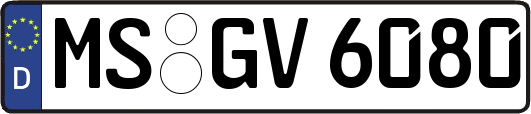 MS-GV6080