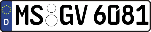 MS-GV6081