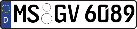 MS-GV6089