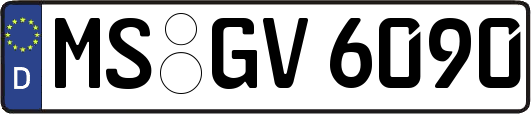 MS-GV6090
