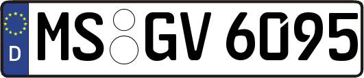 MS-GV6095
