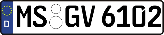 MS-GV6102