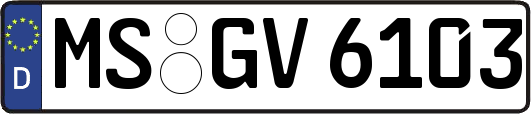 MS-GV6103