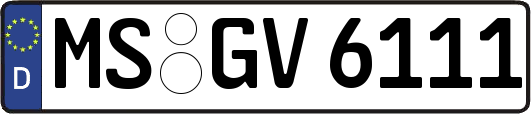 MS-GV6111