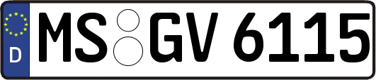 MS-GV6115