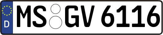 MS-GV6116
