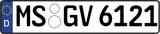 MS-GV6121