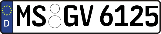 MS-GV6125
