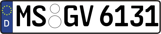 MS-GV6131