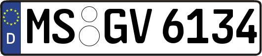 MS-GV6134