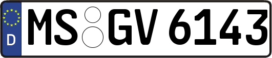 MS-GV6143